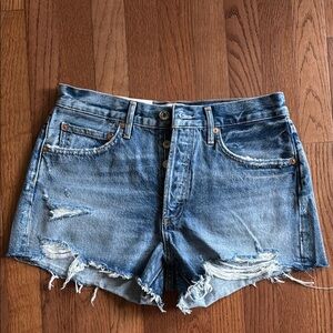 Agolde Parker Jean Shorts (NWT)